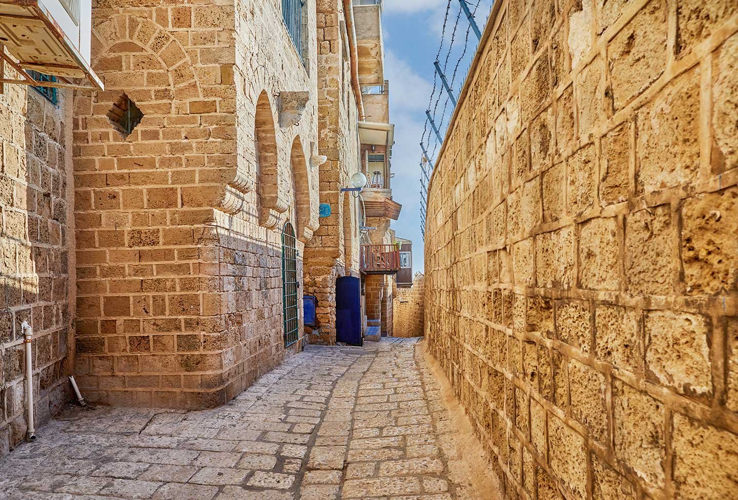 single-home-0002 منزل تنفيذي بحديقة